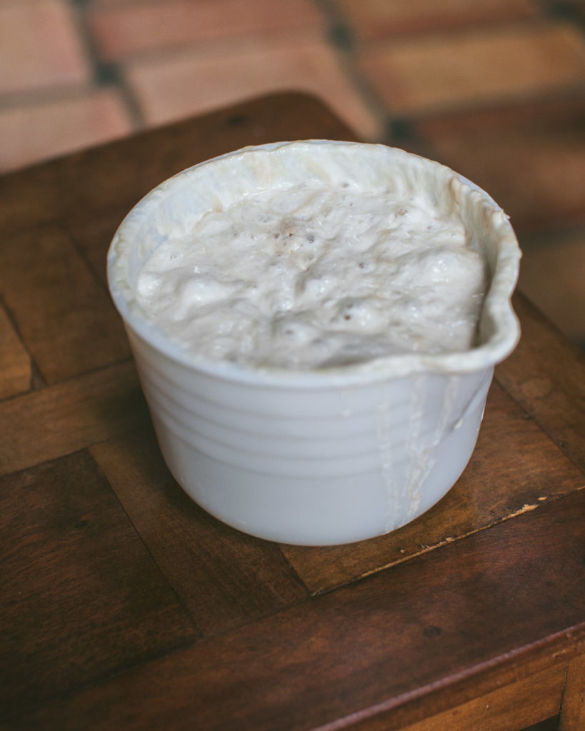Sourdough starter